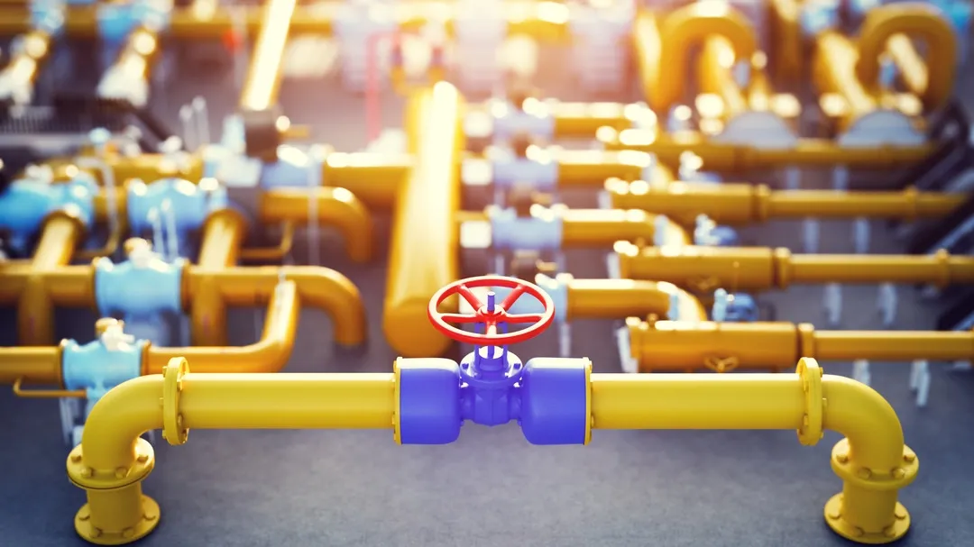 Wallpaper paints and varnishes